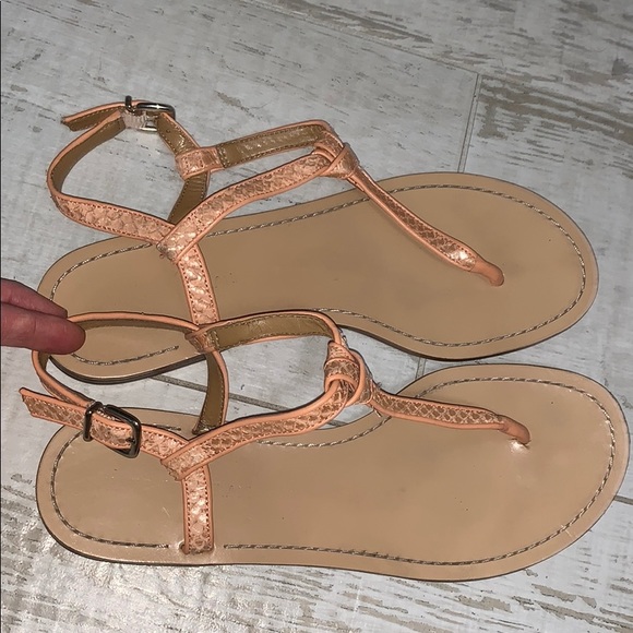 Antonio Melani Snakeskin Sandals - Picture 2 of 6